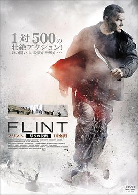 燧石行动第一季海报